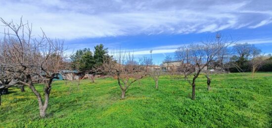 Terrain à bâtir à Puget-sur-Argens, Provence-Alpes-Côte d'Azur