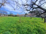 Terrain à bâtir à Puget-sur-Argens (83480) 2612049-9911annonce220260831T7986.jpeg Maisons France Confort