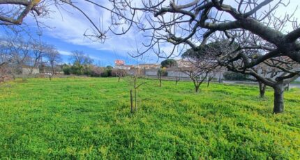 Puget-sur-Argens Terrain à bâtir - 2612049-9911annonce220260831T7986.jpeg Maisons France Confort