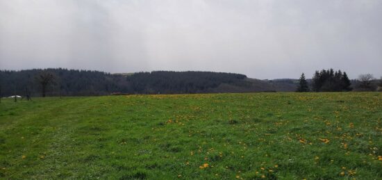 Terrain à bâtir à , Cantal