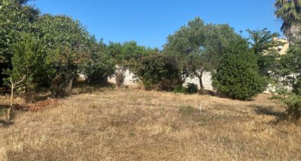 Six-Fours-les-Plages Maison neuve - 2612865-9599annonce120260901TxZbD.jpeg Maisons France Confort
