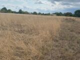 Terrain à bâtir à Montauban (82000) 2606489-11913annonce120260821nszT0.jpeg Maisons France Confort