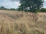 Terrain à bâtir à Montauban (82000) 2606489-11913annonce220260821ixLEq.jpeg Maisons France Confort