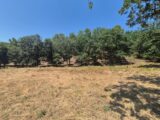 Terrain à bâtir à Taradeau (83460) 2614691-10152annonce12025063068PrT.jpeg Maisons France Confort