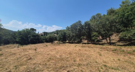 Taradeau Terrain à bâtir - 2614693-10152annonce1202506303rhT1.jpeg Maisons France Confort