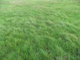 Maison à construire à Saint-Fargeau-Ponthierry (77310) 2565927-1635annonce120260927zcAo9.jpeg Maisons France Confort