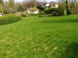 Maison à construire à Duras (47120) 2539028-10776annonce120260608CN4ym.jpeg Maisons France Confort