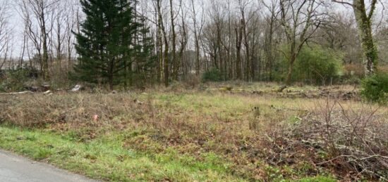 Terrain à bâtir à Saucats, Nouvelle-Aquitaine