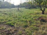 Terrain à bâtir à Sénas (13560) 2619854-3969annonce120260904gROl2.jpeg Maisons France Confort