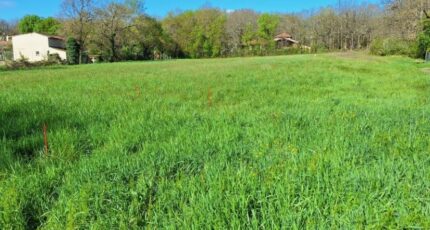 La Salvetat-Saint-Gilles Terrain à bâtir - 2610800-9555annonce120260828sqiKg.jpeg Maisons France Confort