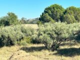 Terrain à bâtir à Roquemaure (30150) 2620573-3418annonce320231028xaXTB.jpeg Maisons France Confort