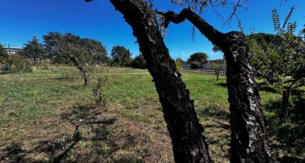 Puget-sur-Argens Maison neuve - 2621172-3701annonce120260904EZTiT.jpeg Maisons France Confort