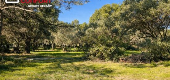 Terrain à bâtir à La Cadière-d'Azur, Provence-Alpes-Côte d'Azur