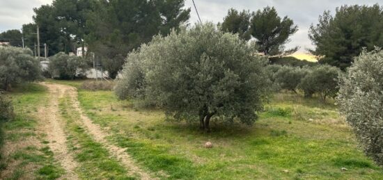Terrain à bâtir à Saint-Chamas, Provence-Alpes-Côte d'Azur