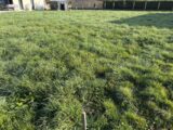 Terrain à bâtir à Buzet-sur-Tarn (31660) 2620616-11356annonce320260904r25FG.jpeg Maisons France Confort
