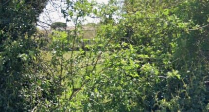 Morières-lès-Avignon Terrain à bâtir - 2623223-3969annonce220260907MkUQK.jpeg Maisons France Confort