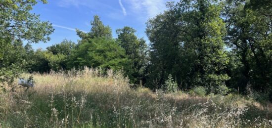 Terrain à bâtir à , Vaucluse