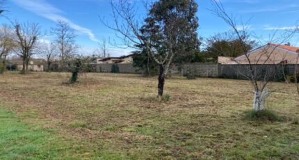 Saint-Vivien-de-Médoc Terrain à bâtir - 2620054-10624annonce2202602250O7li.jpeg Maisons France Confort