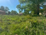 Terrain à bâtir à Lesparre-Médoc (33340) 2620175-10624annonce120260904t7Twe.jpeg Maisons France Confort