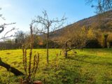 Maison à construire à Châtenois (67730) 2620070-11920annonce120260902ftPTL.jpeg Maisons France Confort