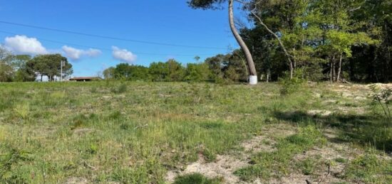 Terrain à bâtir à Targon, Nouvelle-Aquitaine