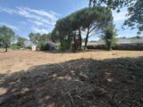 Terrain à bâtir à Les Mathes (17570) 2622019-11194annonce120260907u5PzT.jpeg Maisons France Confort