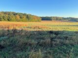 Terrain à bâtir à Les Essards (17250) 2622082-11194annonce2202609074LtNc.jpeg Maisons France Confort