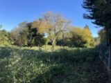 Terrain à bâtir à Camarsac (33750) 2623695-11958annonce120260907JREru.jpeg Maisons France Confort