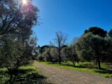 Maison à construire à Ceyras (34800) 2623881-11017annonce120260908TVv77.jpeg Maisons France Confort