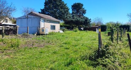 Saint-Florent-sur-Cher Maison neuve - 2623118-11966annonce120260907rvAmt.jpeg Maisons France Confort
