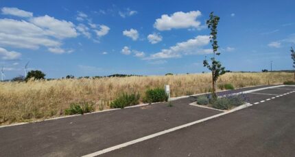 Sainte-Valière Maison neuve - 2624251-11782annonce320260908KgwT5.jpeg Maisons France Confort
