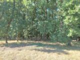 Terrain à bâtir à Pechbonnieu (31140) 2623301-5604annonce220260907791Fm.jpeg Maisons France Confort