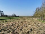 Maison à construire à Lagnicourt-Marcel (62159) 2623580-10261annonce220260409kB0UE.jpeg Maisons France Confort