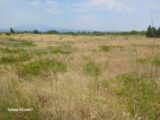 Terrain à bâtir à Villemolaque (66300) 2594052-666annonce120260731LqQwQ.jpeg Maisons France Confort