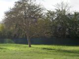 Maison neuve à Le Pecq (78230) 2624729-3611annonce120260908c5kis.jpeg Maisons France Confort