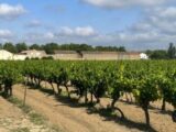 Terrain à bâtir à Canet (11200) 2625129-11782annonce120260908ZpzLm.jpeg Maisons France Confort