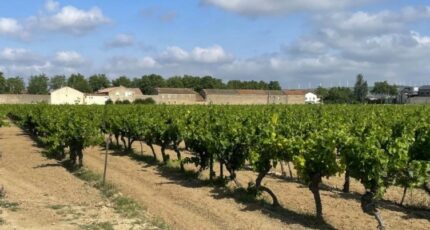 Canet Maison neuve - 2625134-11782annonce120260908ZpzLm.jpeg Maisons France Confort