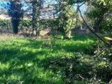 Maison à construire à Robion (84440) 2599744-695annonce320260810rmtZ0.jpeg Maisons France Confort