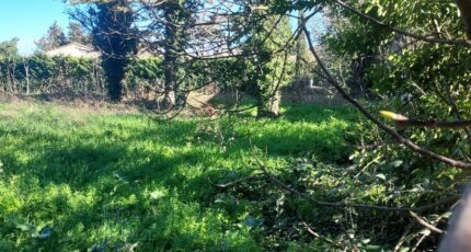 Robion Terrain à bâtir - 2599742-695annonce320260810rmtZ0.jpeg Maisons France Confort