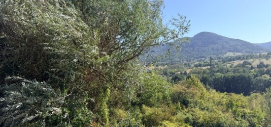 Terrain à bâtir à Villé, Grand Est