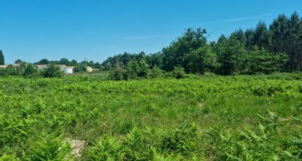 Carcans Maison neuve - 2626696-1076annonce120260909LJTTK.jpeg Maisons France Confort