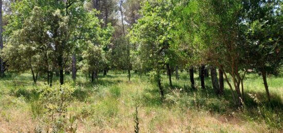Terrain à bâtir à , Var