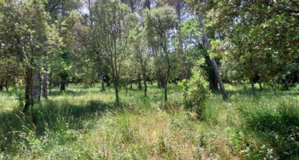 Garéoult Terrain à bâtir - 2548353-11137annonce320260615DQav7.jpeg Maisons France Confort