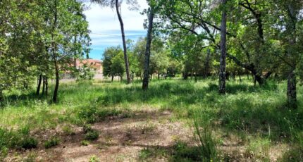 Garéoult Terrain à bâtir - 2548372-11137annonce120260615TMZTG.jpeg Maisons France Confort