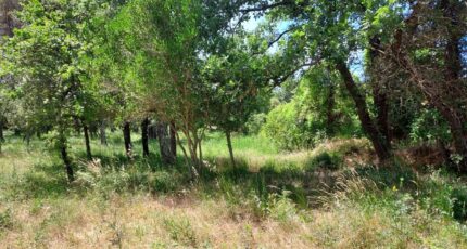 Garéoult Terrain à bâtir - 2548372-11137annonce220260615ZUnvE.jpeg Maisons France Confort