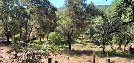 Terrain à bâtir à , Var
