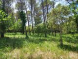 Maison à construire à Garéoult (83136) 2548363-11137annonce120260615COZnl.jpeg Maisons France Confort