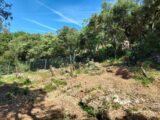Maison à construire à Sainte-Anastasie-sur-Issole (83136) 2548181-11137annonce120260615l4ncJ.jpeg Maisons France Confort