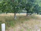 Maison à construire à Le Pout (33670) 2529123-10994annonce120260602k132u.jpeg Maisons France Confort