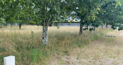 Le Pout Maison neuve - 2529120-10994annonce120260602k132u.jpeg Maisons France Confort